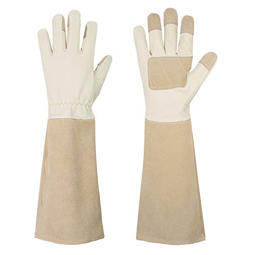 Best Gardening Gloves for Pruning Roses: Top Picks and Essential Buying Guide