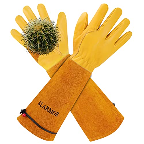 Ultimate Gardening Gloves For Cactus: 2025 Top Picks
