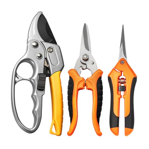 Best Gardening Tools for Arthritic Hands: Top Complete Reviews