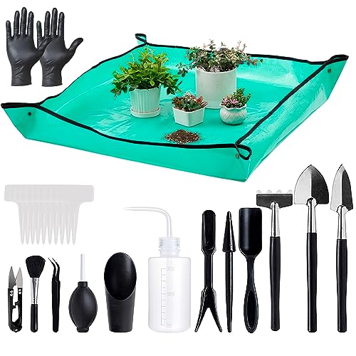 Best Gardening Tools for Succulents: Top Professional Reviews