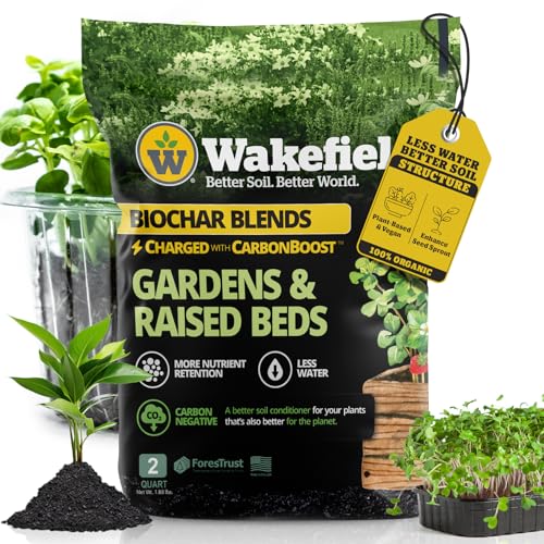 Best Soil to Use for Raised Garden Beds: Best Professional Guide
