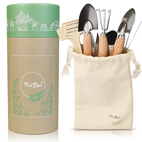 Best Tools for Indoor Gardening: Complete Expert Guide