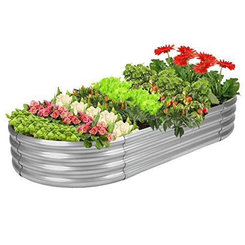 Best Tools for Raised Bed Gardening: Top Professional Reviews