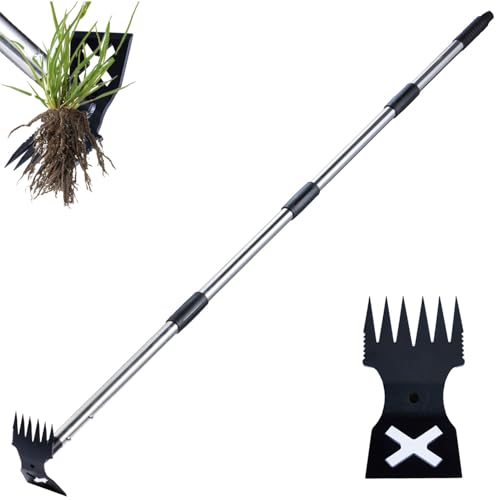 Best Weed Tool for Gardens: Ultimate Recommendations