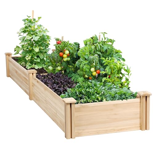 Best Wood for Garden Boxes: Ultimate Recommendations