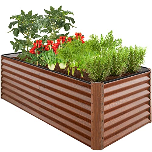 Best Wood for Outdoor Garden Beds: Professional Reviews & Guide