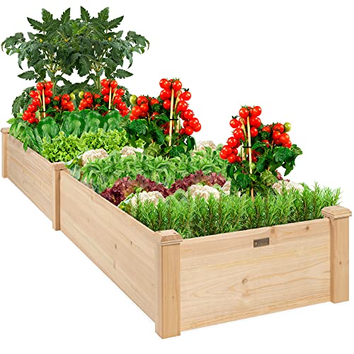 Best Wood for Vegetable Garden: Top Expert Reviews