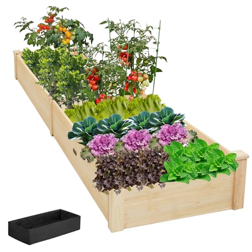 Cheapest Wood for Raised Garden Beds: Complete Professional Guide