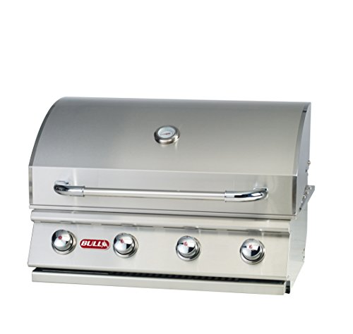 Best Built in Gas Grill for the Money: Ultimate Professional Picks