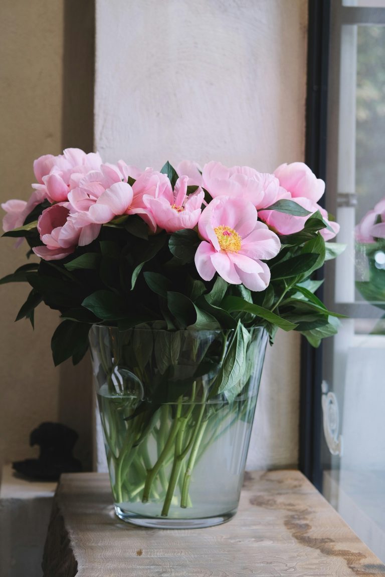 How to Care for Indoor Plants: Powerful Secrets for Healthy, Thriving Houseplants