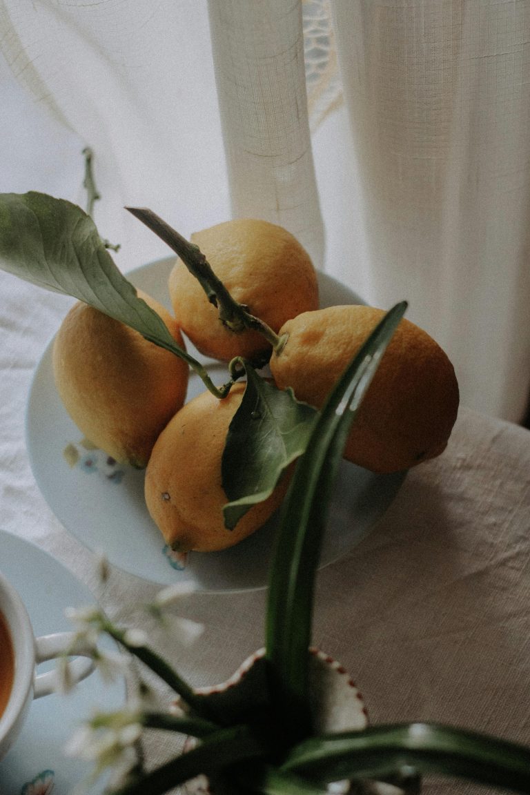 How To Fix Yellow Leaves On Indoor Plants: Amazing Tips for Growth