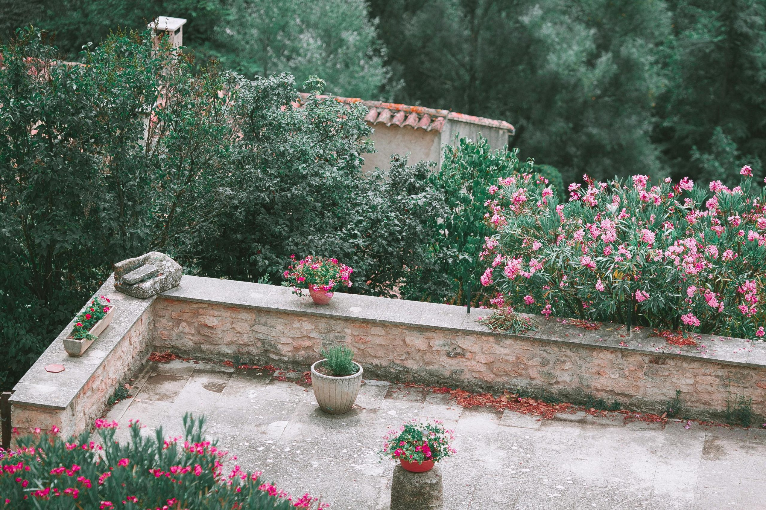High angle of stone building with potted plants and blooming bushes growing in yard